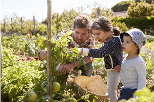 a family in the garden