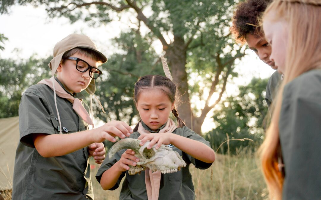 homeschool nature study